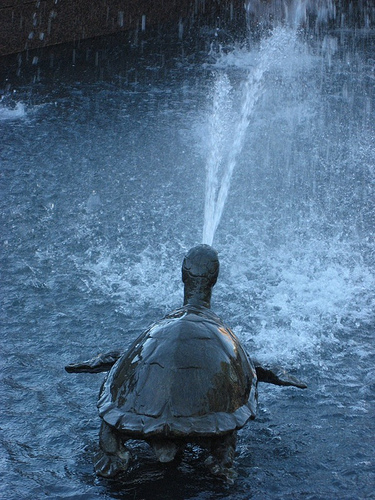 Image by kind permission of Leithcote, Creative Commons