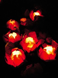 Chinese_floating_lotus_lanterns